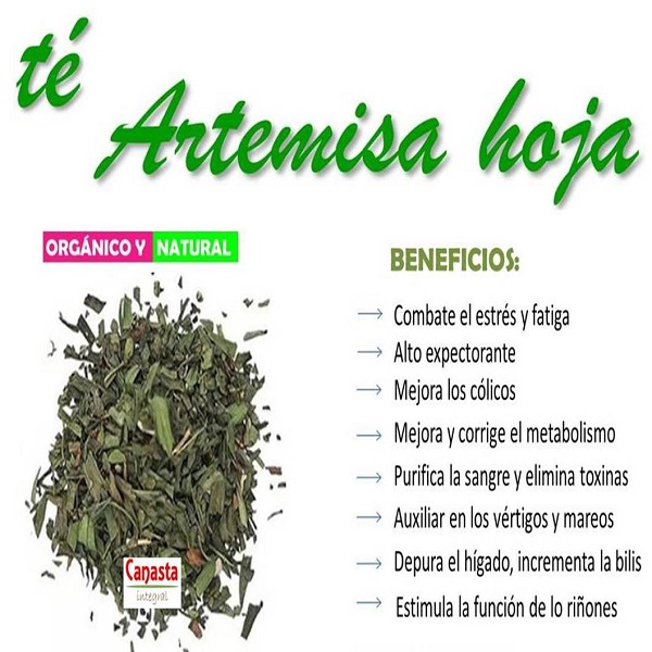 Té de Artemisa Orgánico 500g