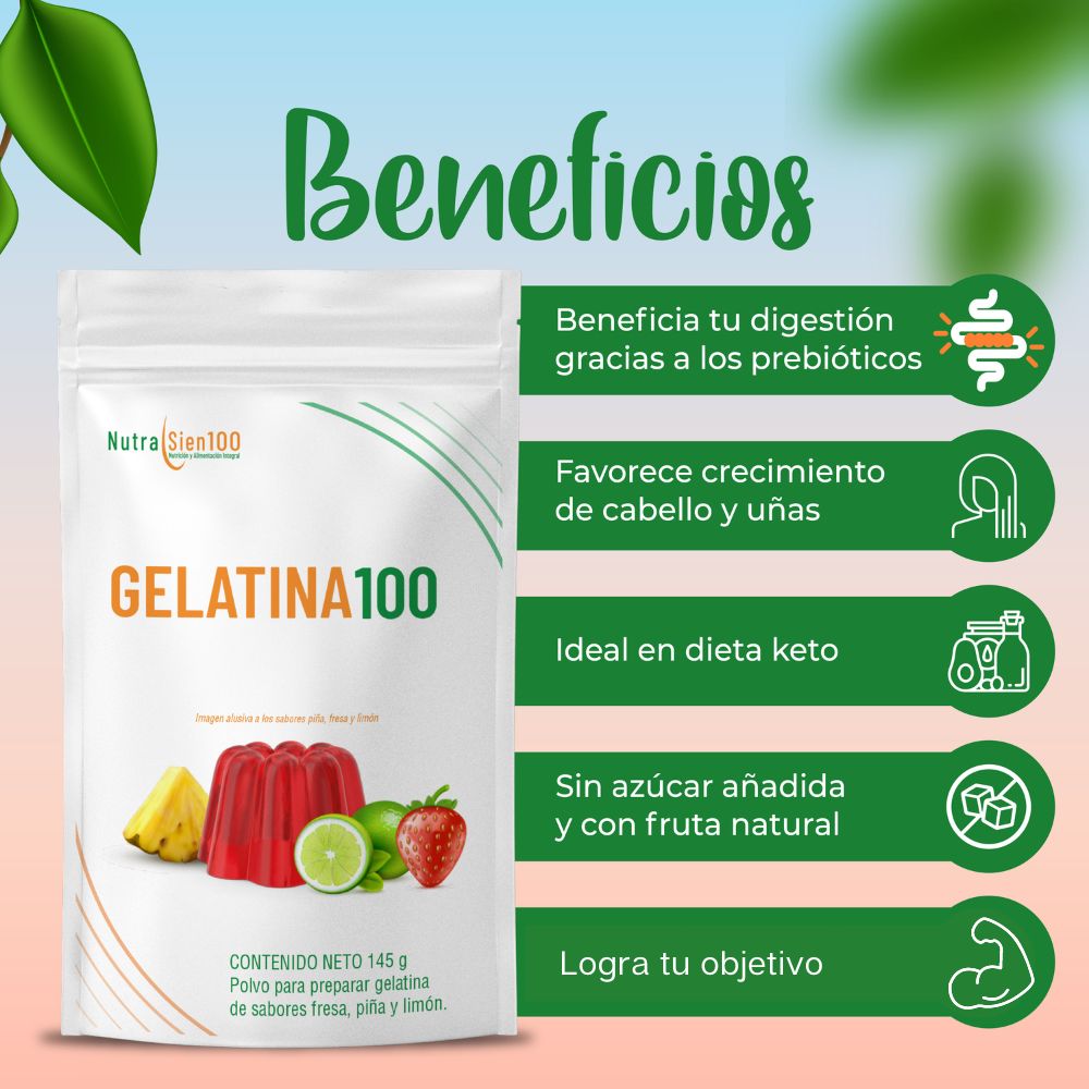 GELATINA en polvo Sin Azúcar. Carnitina Colágeno Prebiótico Saludable Keto Paleo