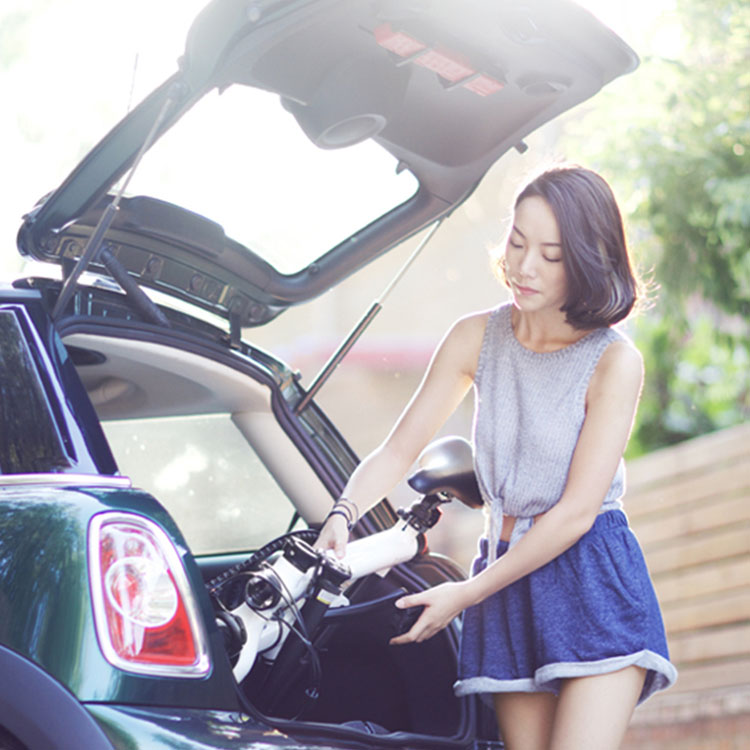 Bicicleta Electrica Xiaomi Mi Electric Folding Bike EU Negra.