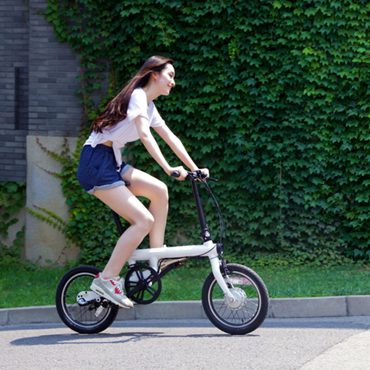 Xiaomi - Bicicleta Plegable Eléctrica Mi Smart (negra)