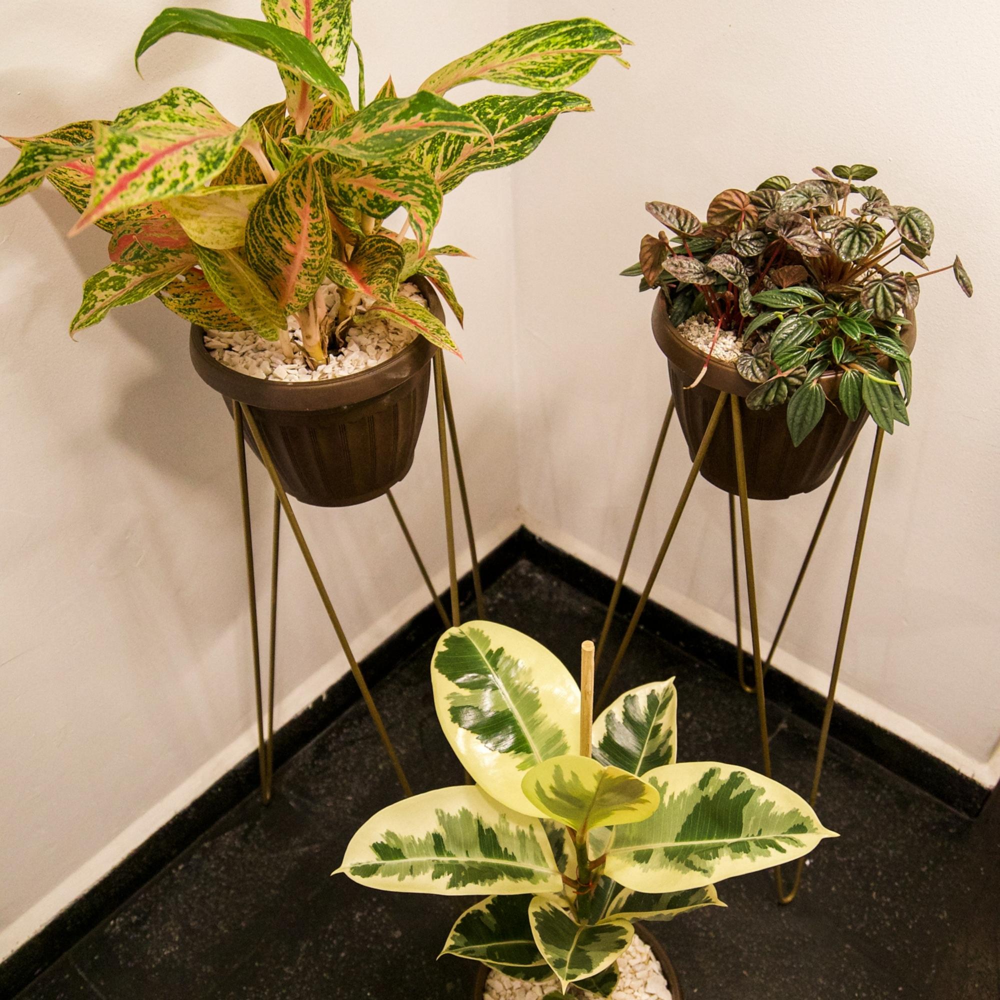 Maceta Romana Decorativa Pequeña Plástico Rígido 6 Piezas