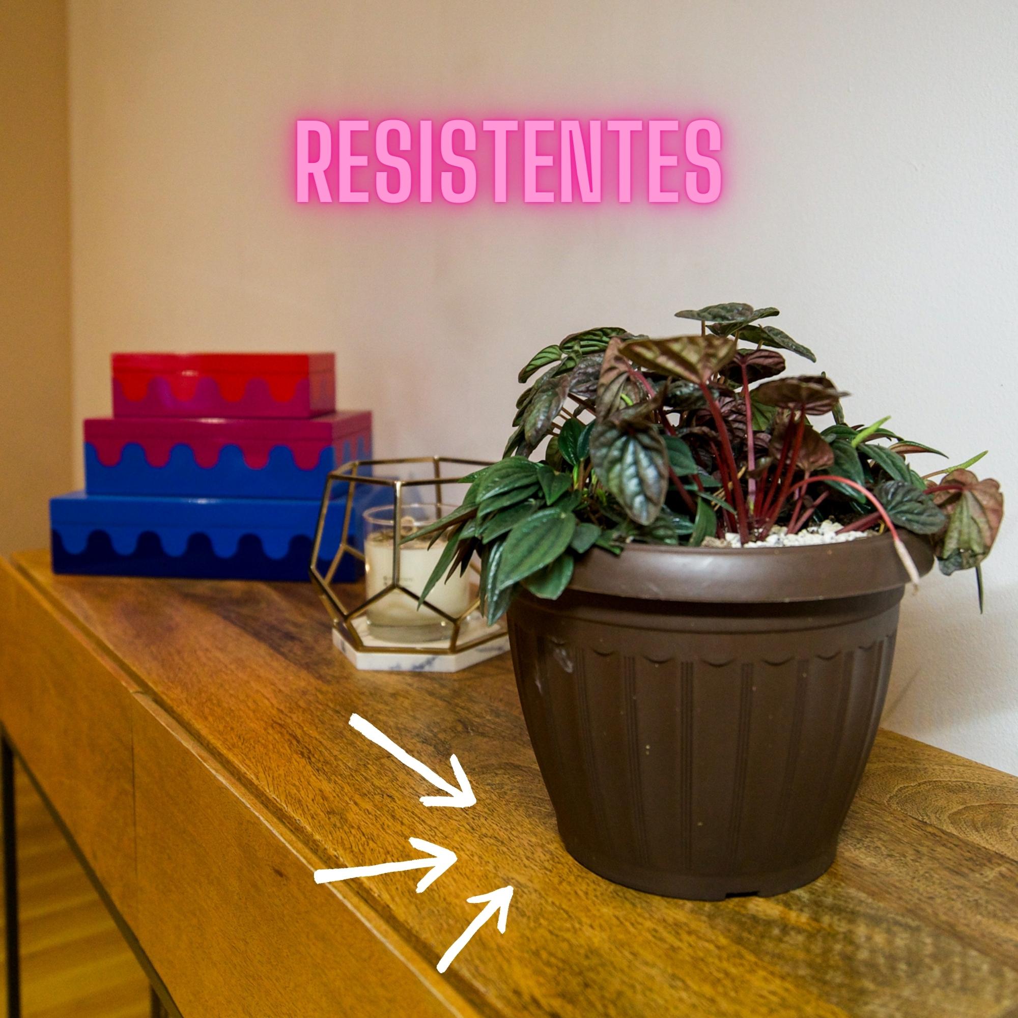 Maceta Romana Decorativa Pequeña Plástico Rígido 6 Piezas