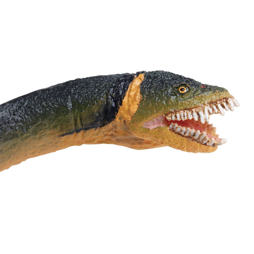 Figura De Plastico Elasmosaurus Safari Ltd Escala De Dinosaurio Para Niños