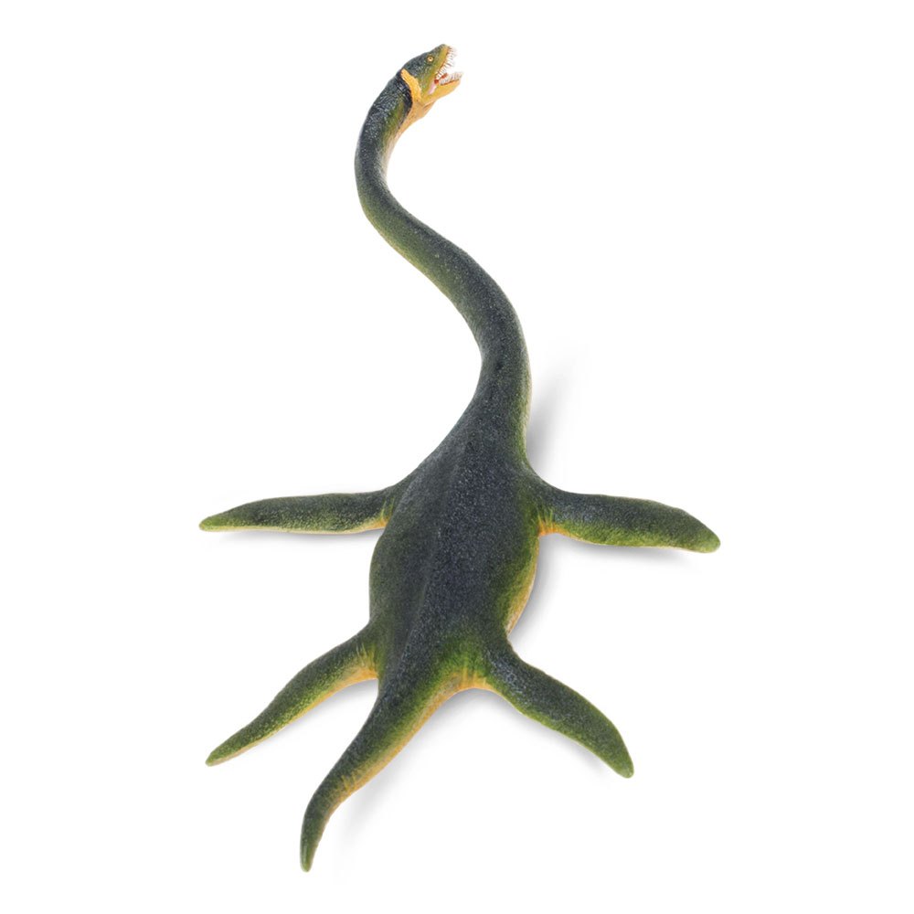 Figura De Plastico Elasmosaurus Safari Ltd Escala De Dinosaurio Para Niños