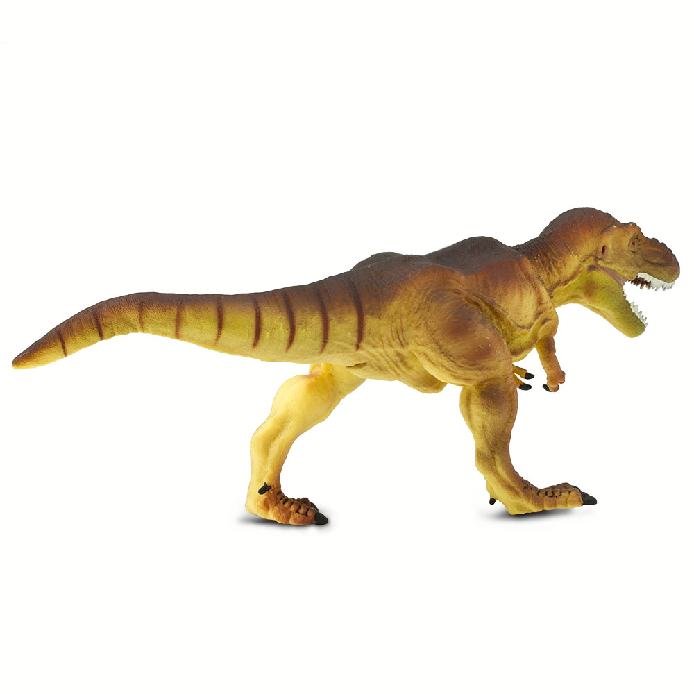 Figura De Plastico Tyrannosaurus rex Safari Ltd Escala De Dinosaurio Para Niños