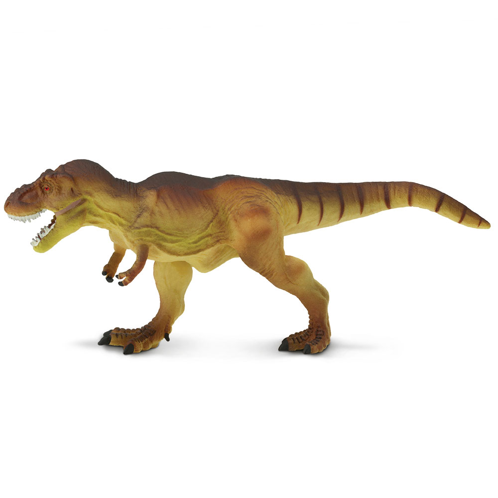 Figura De Plastico Tyrannosaurus rex Safari Ltd Escala De Dinosaurio Para Niños