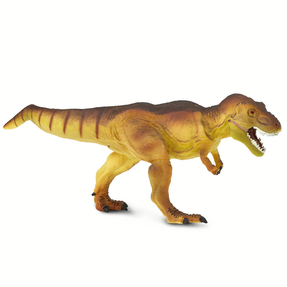 Figura De Plastico Tyrannosaurus rex Safari Ltd Escala De Dinosaurio Para Niños