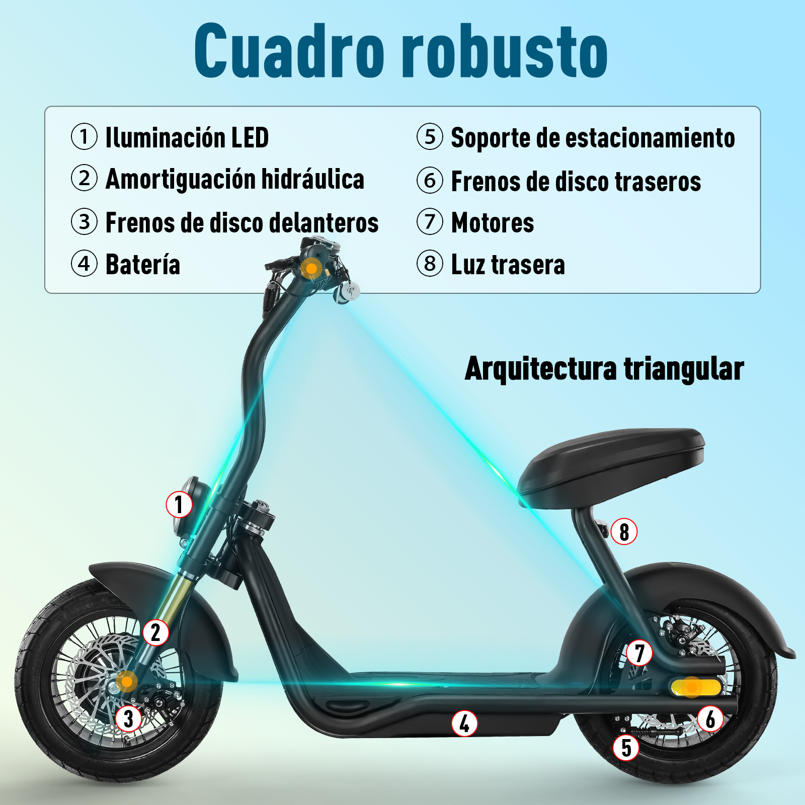 Scooter Eléctrico Honey Whale H10 Negro