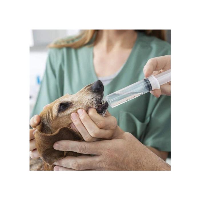 Herramienta de Medición MXSNR-006-2 10 Pzas 200 ml Plástico Transparente Jeringa de InyecciónInducción, SyrPro200