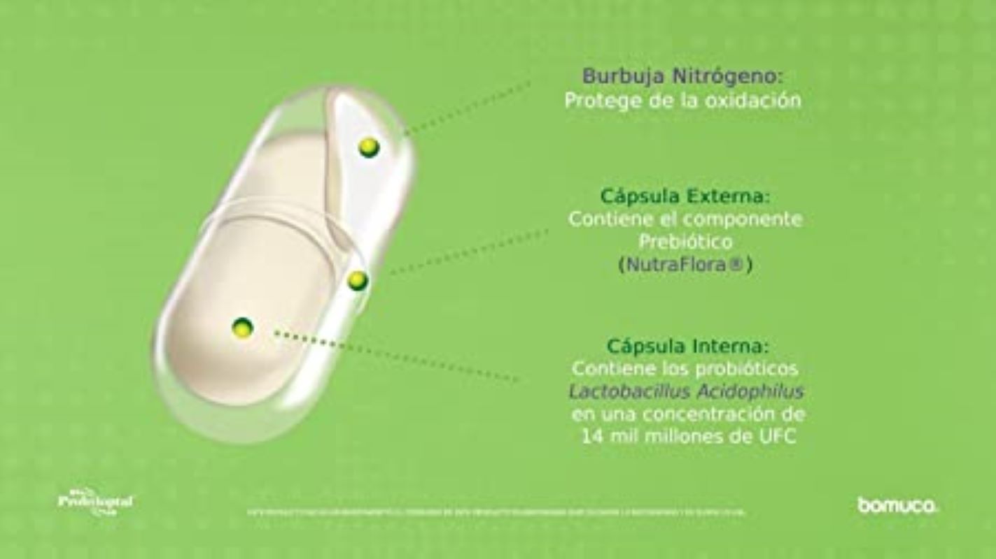 Probióticos Probvioptal 629888 Prebióticos 60 Capsulas