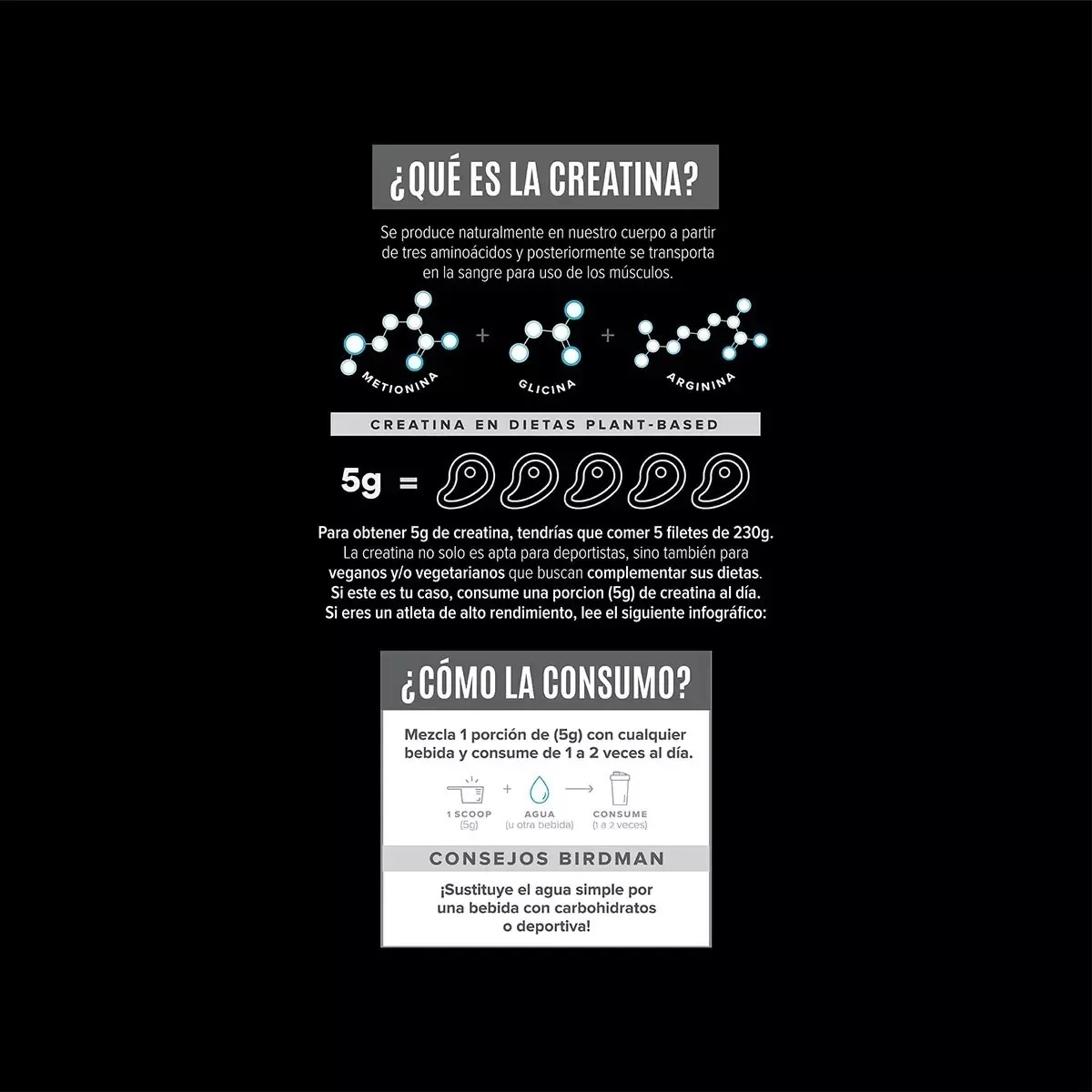 Creatina Monohidratada Birdman Sin Sabor 600gr