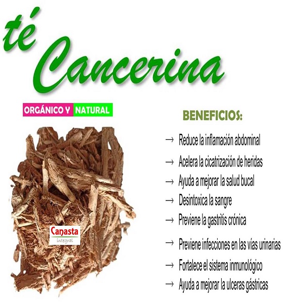 Té de Cancerina Orgánico 500g