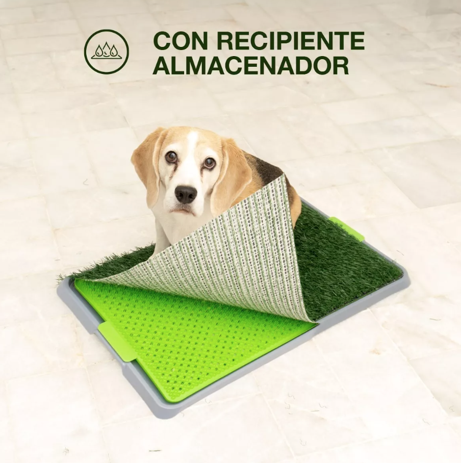 Alfombra Sanitaria Dry Pet para Perros