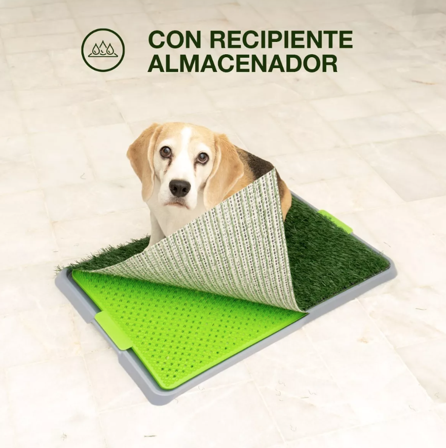Tapete De Perro Entrenador Para Ir Al Baño.