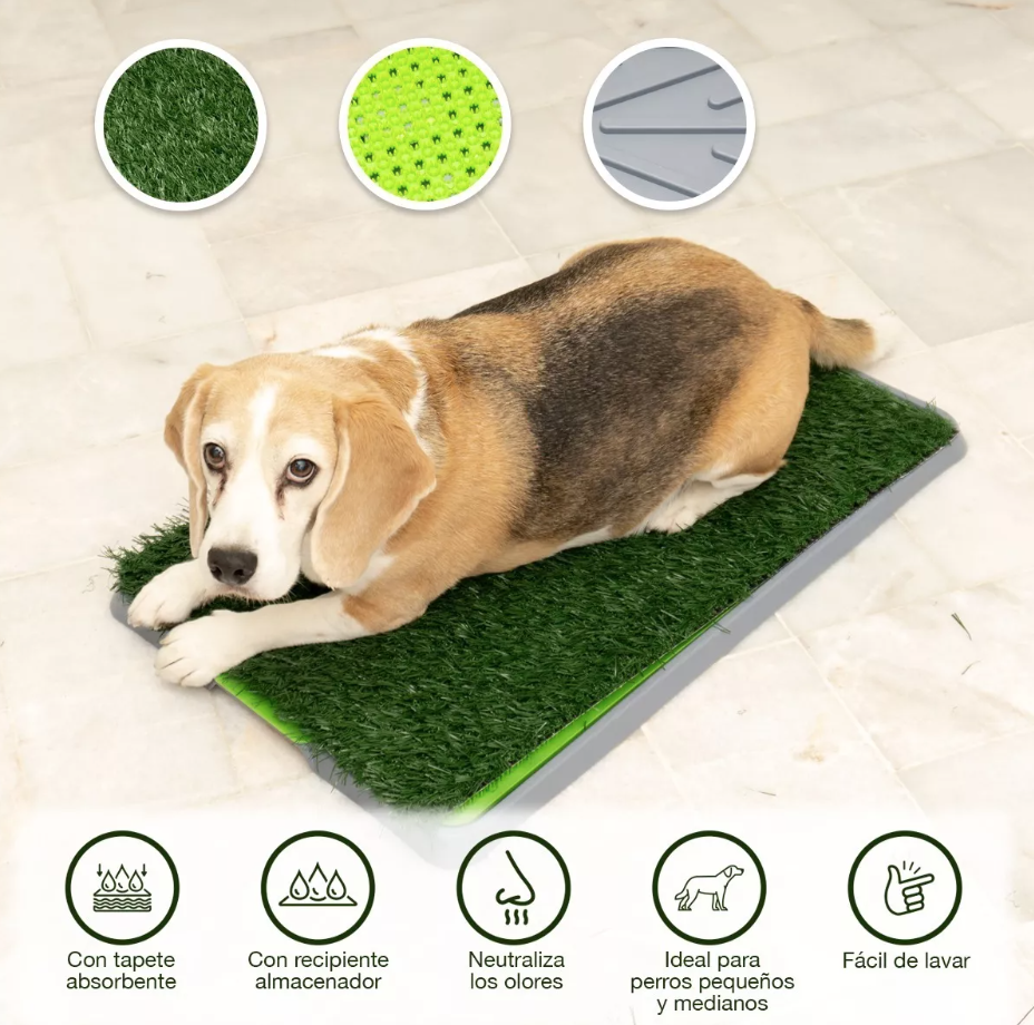 Tapete De Perro Entrenador Para Ir Al Baño.