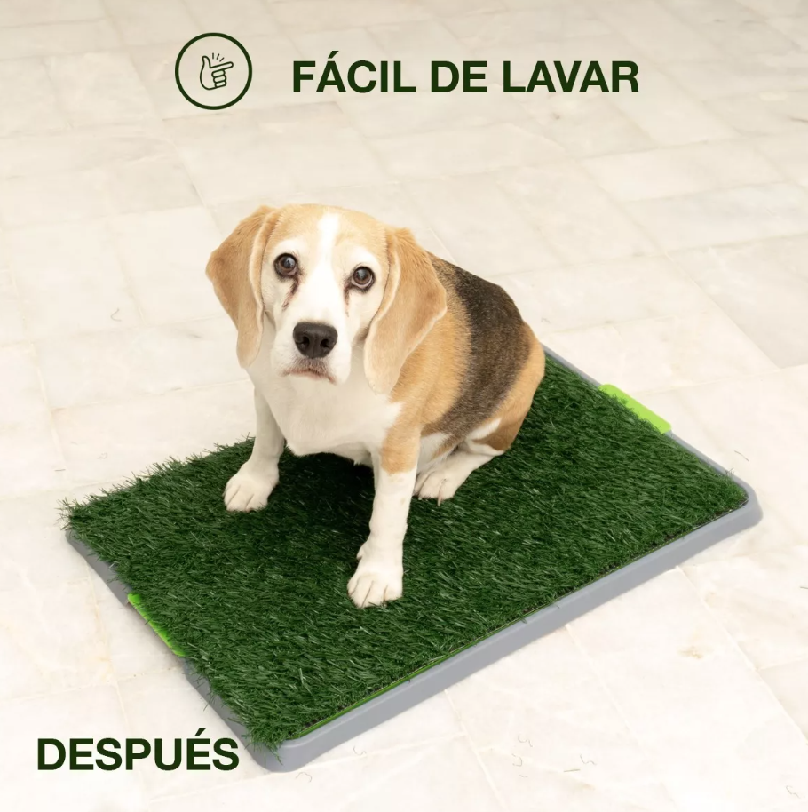 Tapete entrenador para perro Pet Toilet 1 juego de 3 pzas