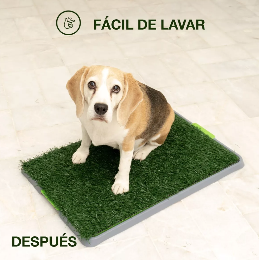 Tapete De Perro Entrenador Para Ir Al Baño.