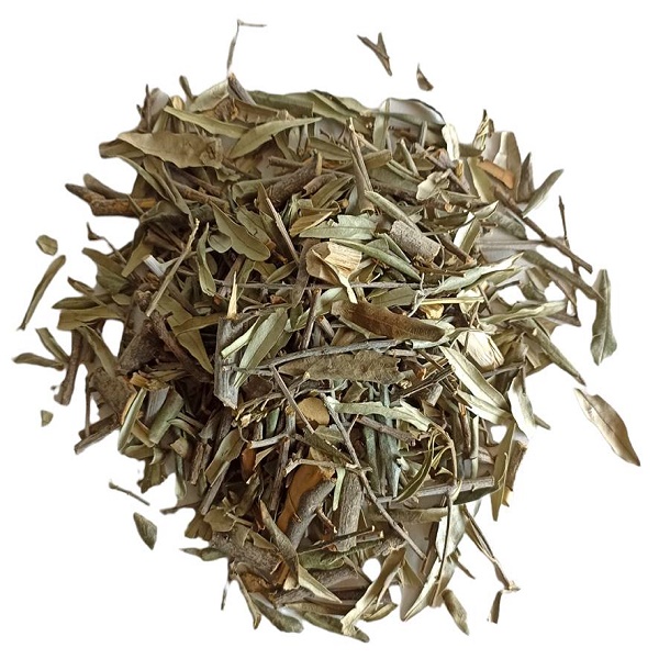 Té de Olivo 500g Orgánico