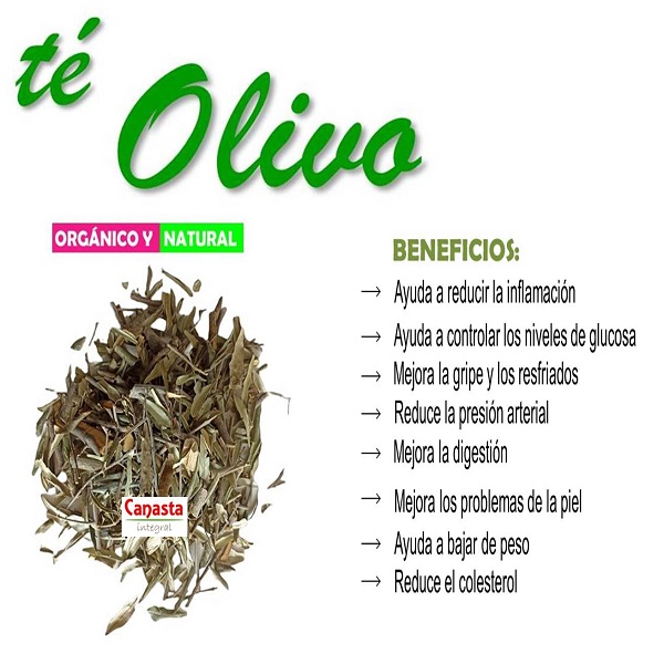 Té de Olivo 500g Orgánico
