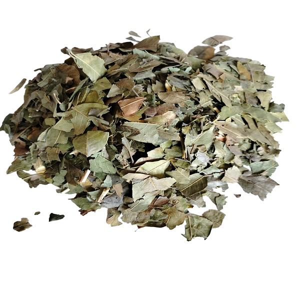 Té de Boldo 500g Orgánico