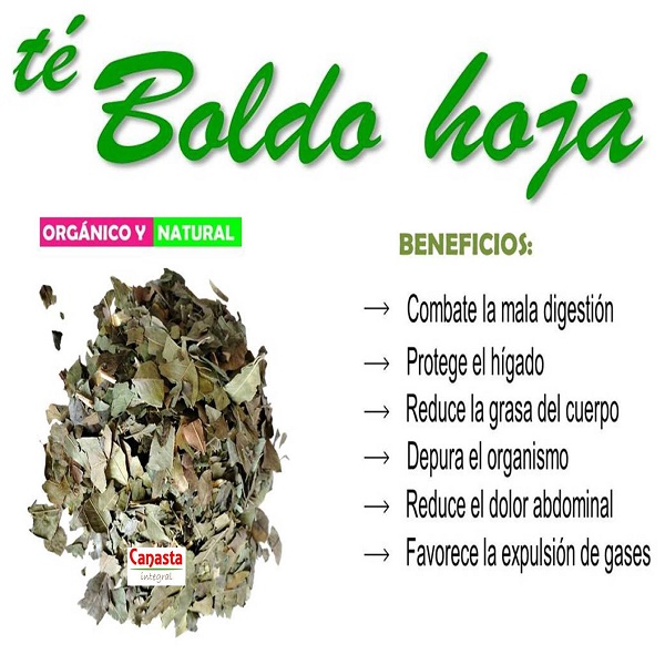 Té de Boldo 500g Orgánico
