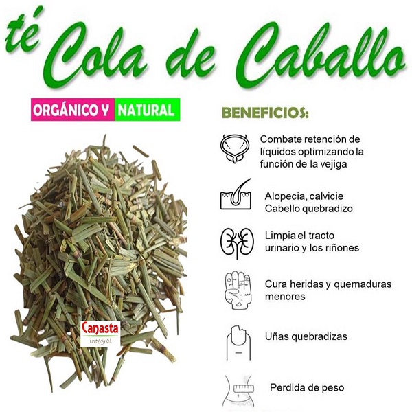 Té Cola de Caballo 250g Equiseto Orgnánico 