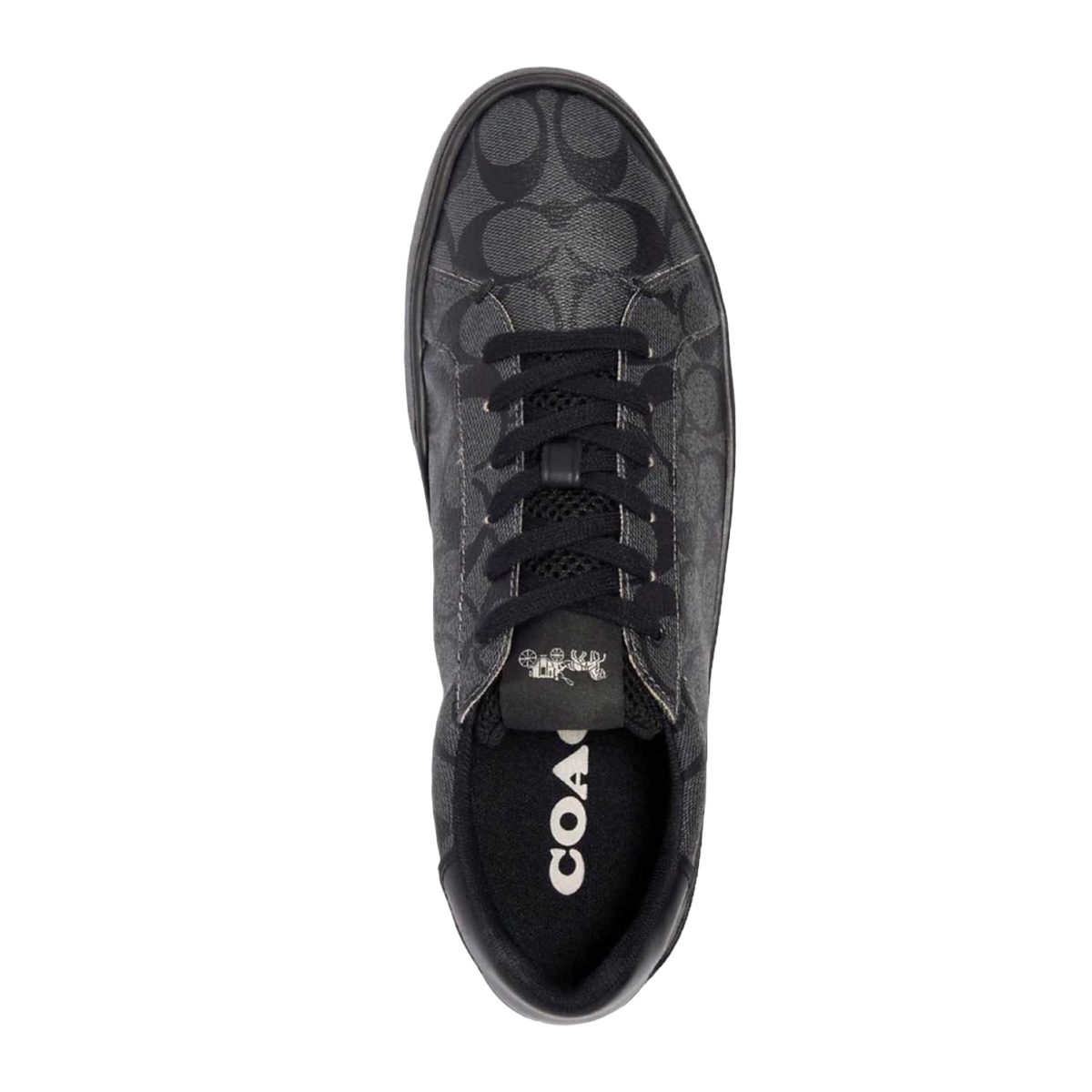 Coach discount sneakers hombre