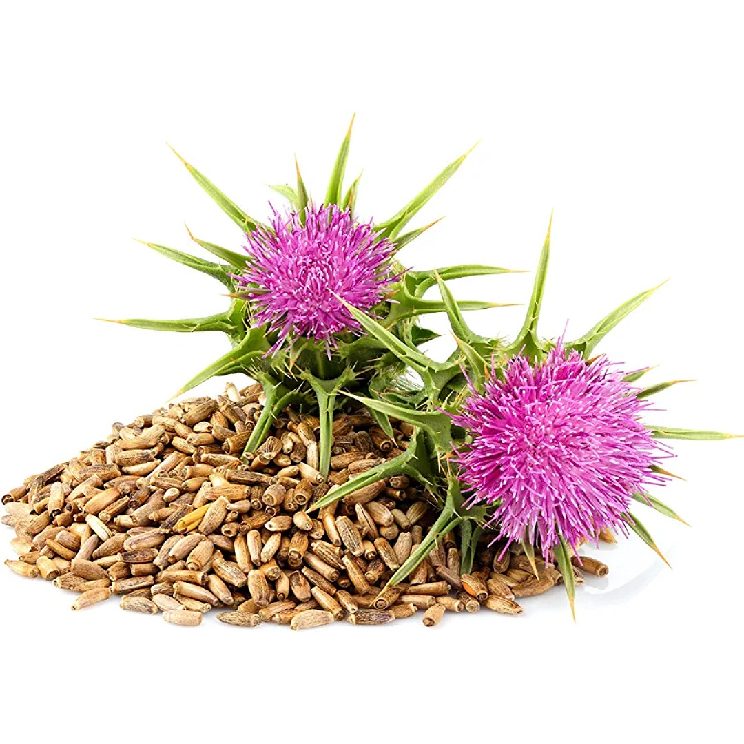 Cardo Mariano 180 Cápsulas (2 Frascos de 90 Cápsulas Vegetales de 400 mg Cardo Mariano) |  - Suplementos 100% Naturales