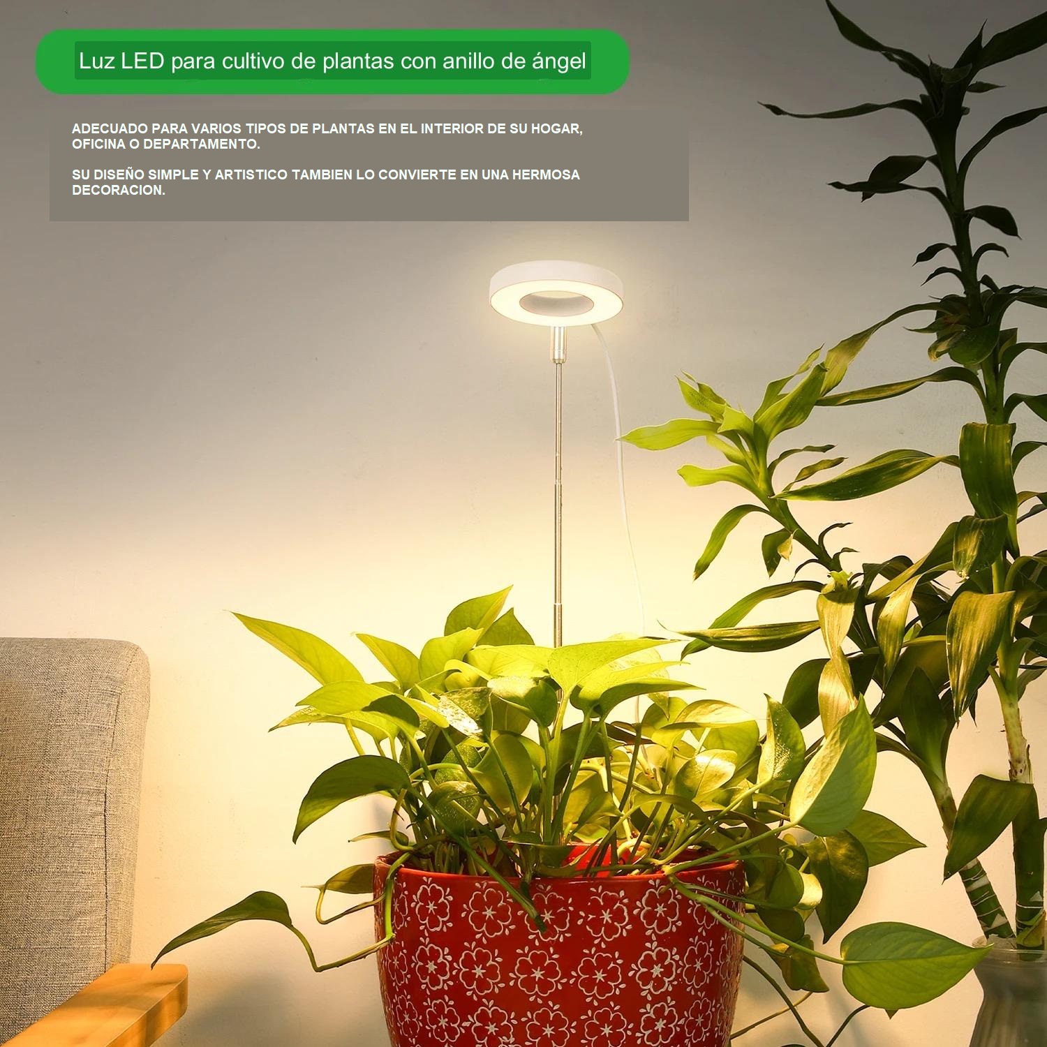 Lampara LED para plantas en Interior. Usala en Casa, Oficina. Departamento. Con timer.