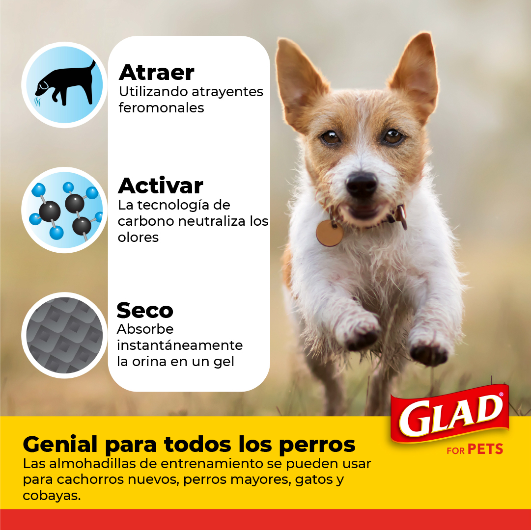 Tapete Entrenador Para Perro, 5 Capas Ultra Absorbentes 30pz