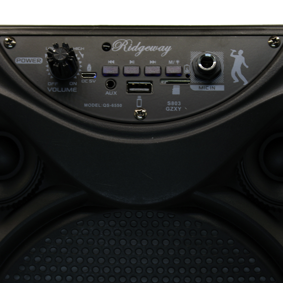 Bocina Bluetooth 8 Pulgadas Con Micrófono Y Control