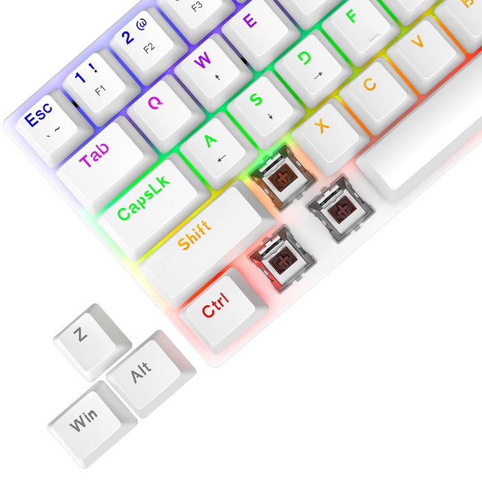 Arena WHITE T-TGK321 (Brown switches) - English US