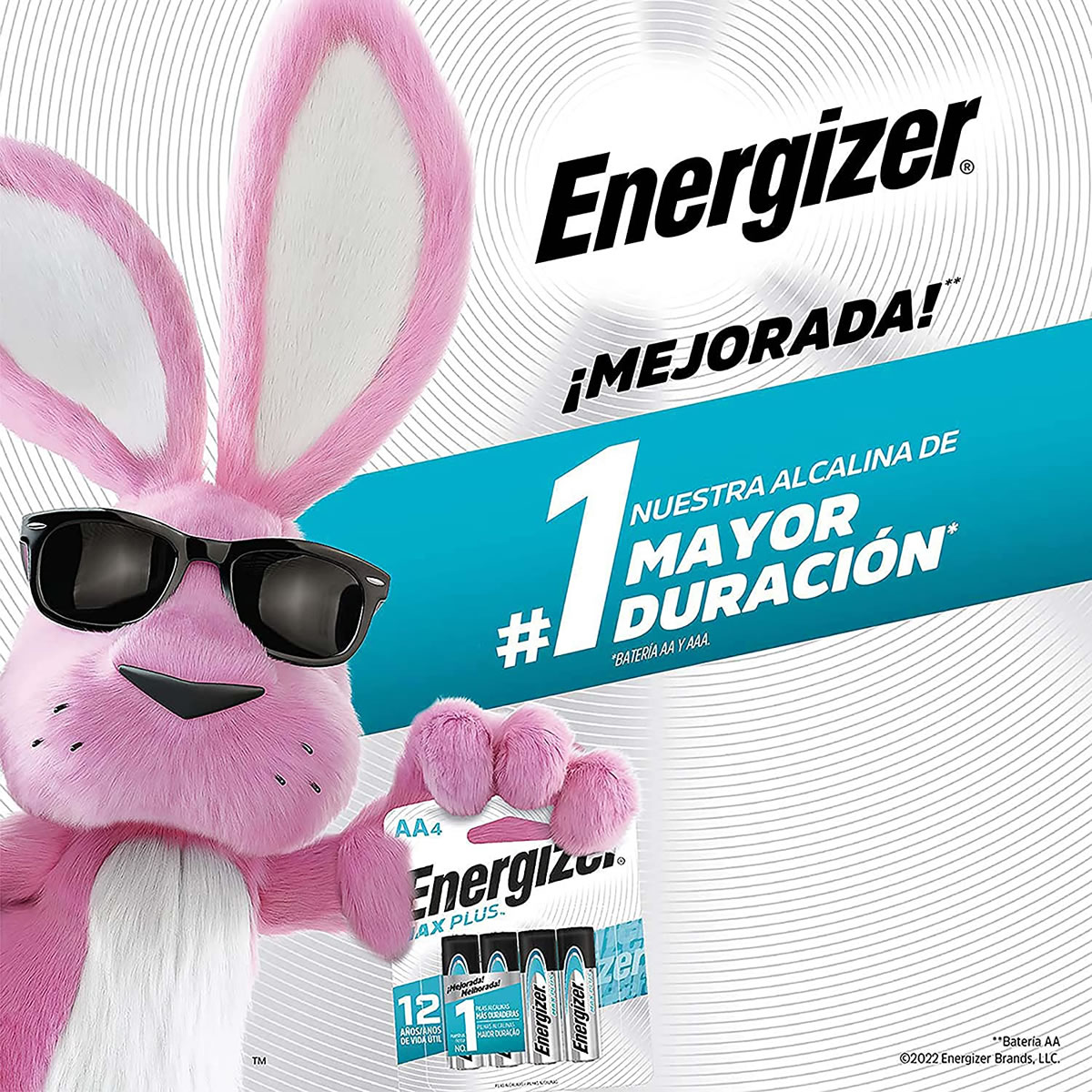 Pilas Alcalinas Pack 10 AA y 6 AAA Energizer 980021468 SMS