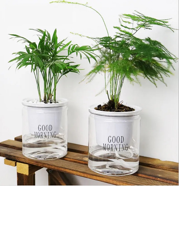 Maceta Chica de Auto Riego. Oficina. Planta pequeña Comestible para Cocina, Etc.