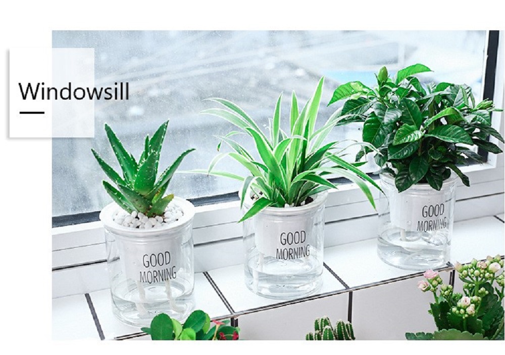 Maceta Chica de Auto Riego. Oficina. Planta pequeña Comestible para Cocina, Etc.