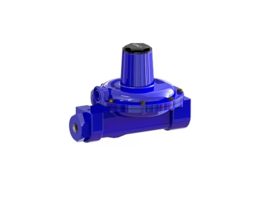 Regulador Lobo 1/2 X 1 Baja Presión Alto Consumo 1ra Etapa CMS