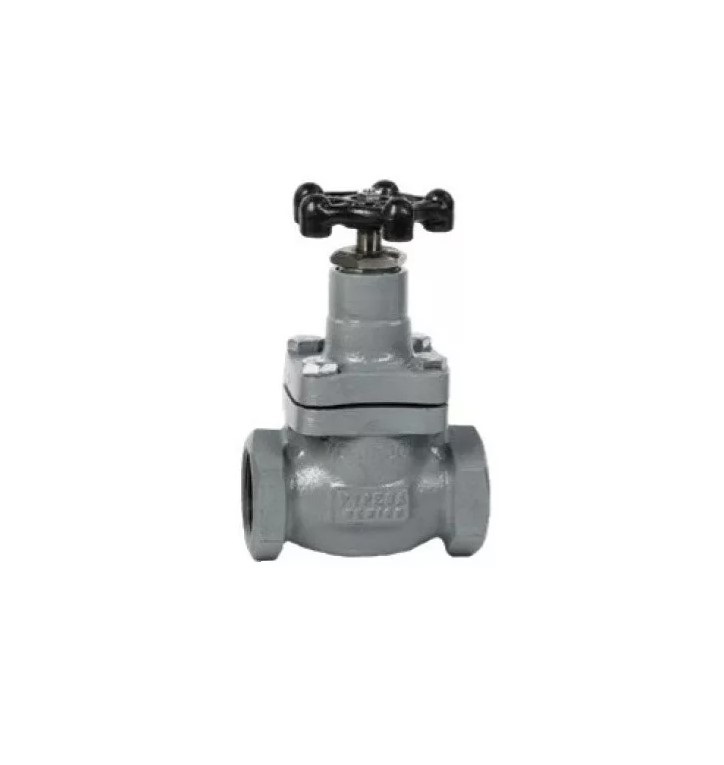 Válvula De Globo 1 1/4 PuLG. Recta Roscada Pypesa.