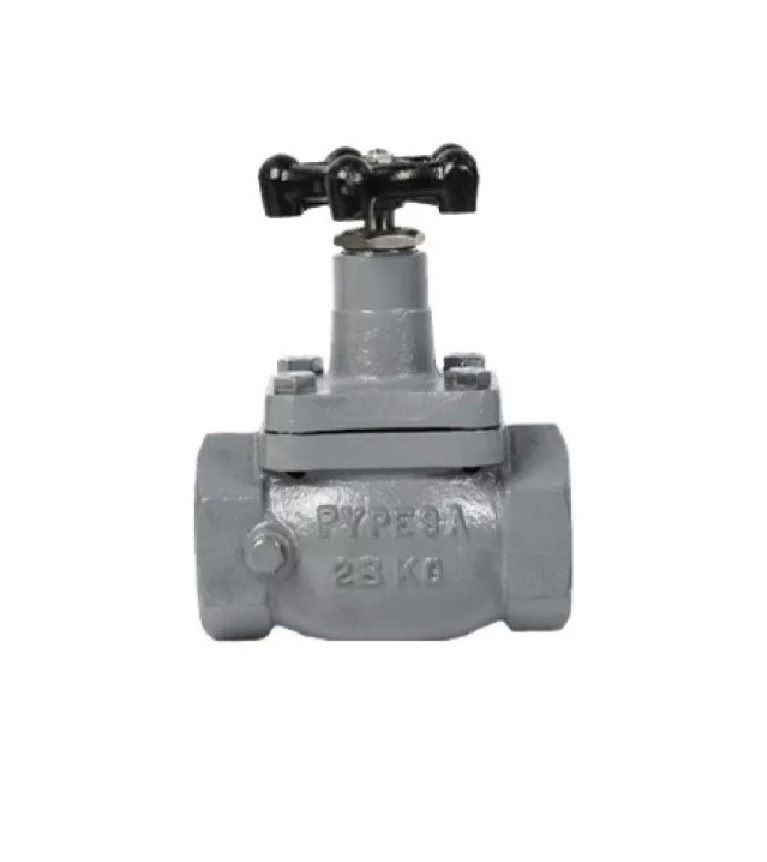 Válvula De Globo 1 1/2 PuLG. Recta Roscada Pypesa.