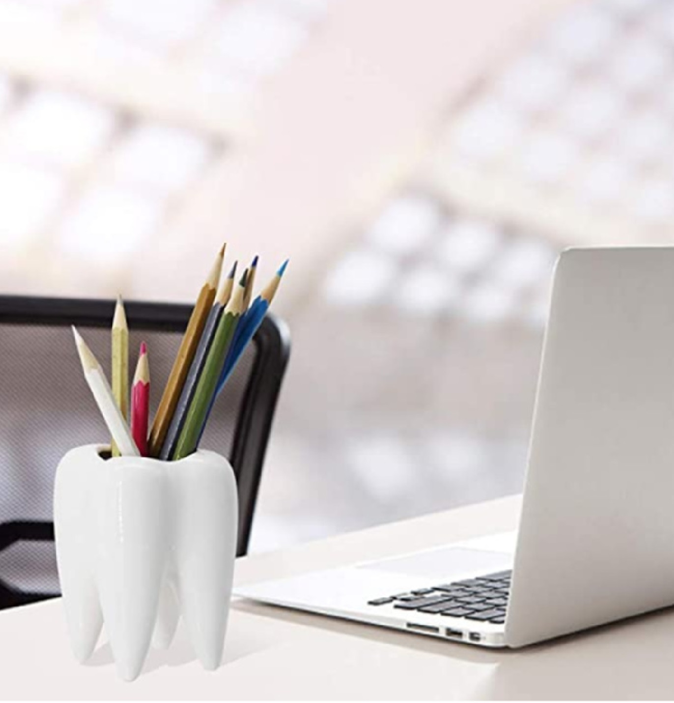 Maceta de Cerámica en forma de muela para plantas suculentas y cactus