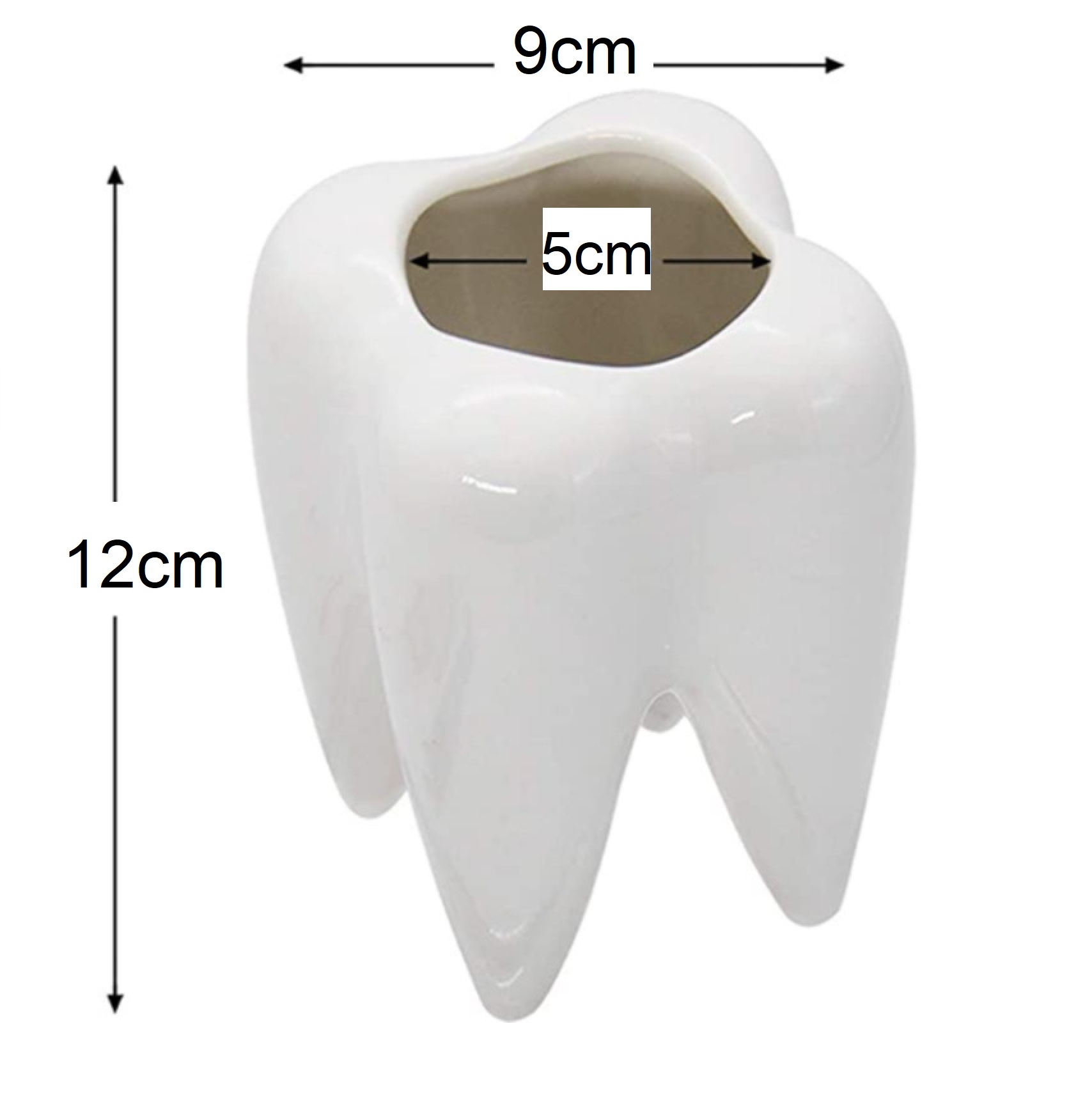 Maceta de Cerámica en forma de muela para plantas suculentas y cactus