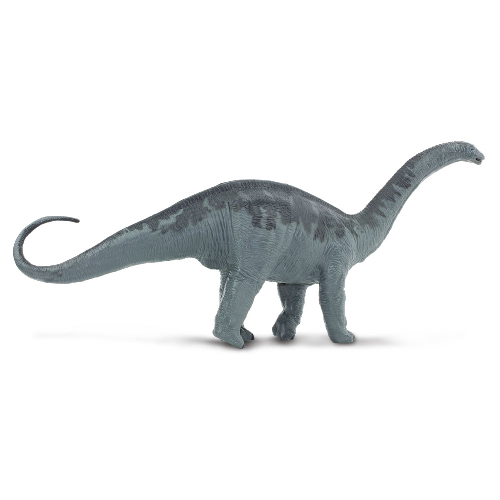 Figura De Dinosaurio Apatosaurus Safari Ltd Figura a Escala De Plástico Para Niños.