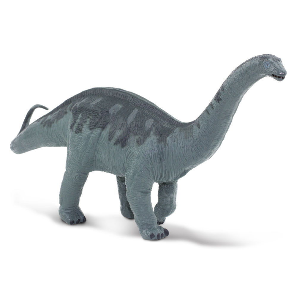 Figura De Dinosaurio Apatosaurus Safari Ltd Figura a Escala De Plástico Para Niños.