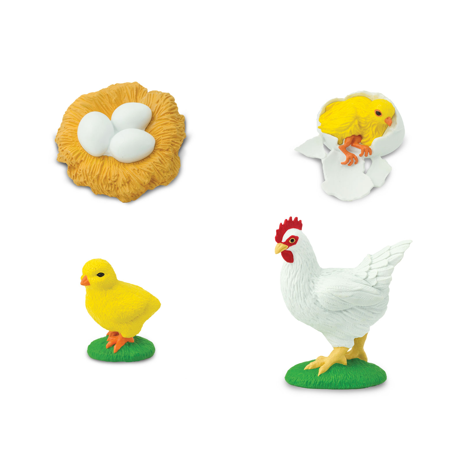 Figura Del Ciclo De La Vida Del Pollo Safari Ltd