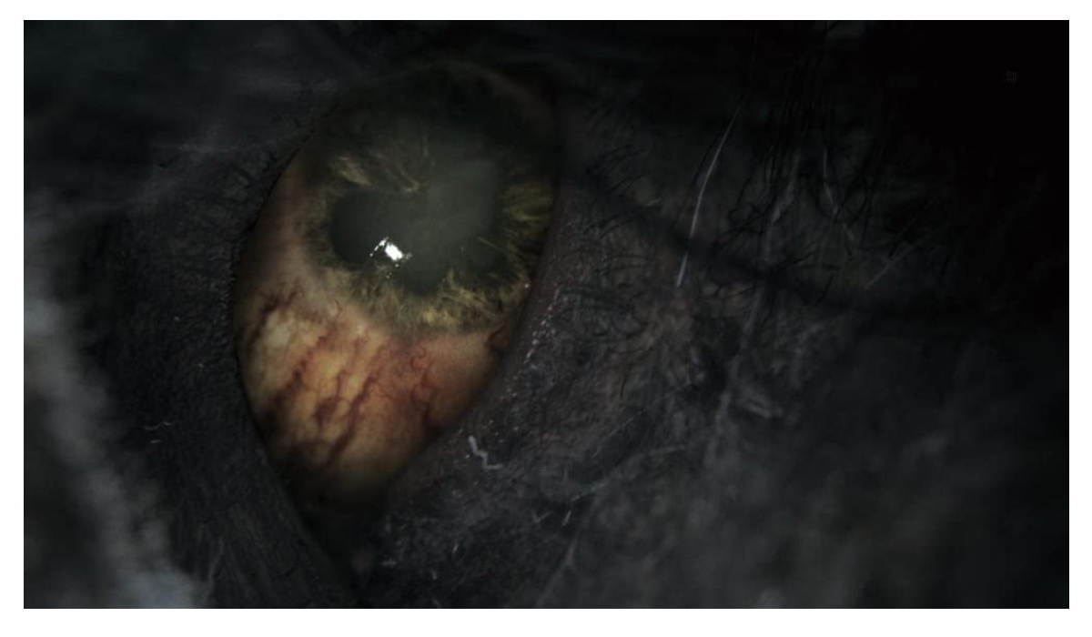 PS4 Juego Bloodborne Game of the Year Edition