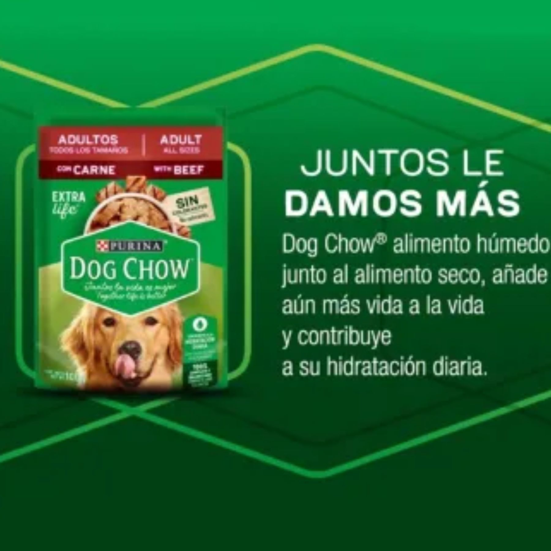 Alimento Humedo para Perro 20/100g Purina Dog Chow SMS-VERDE