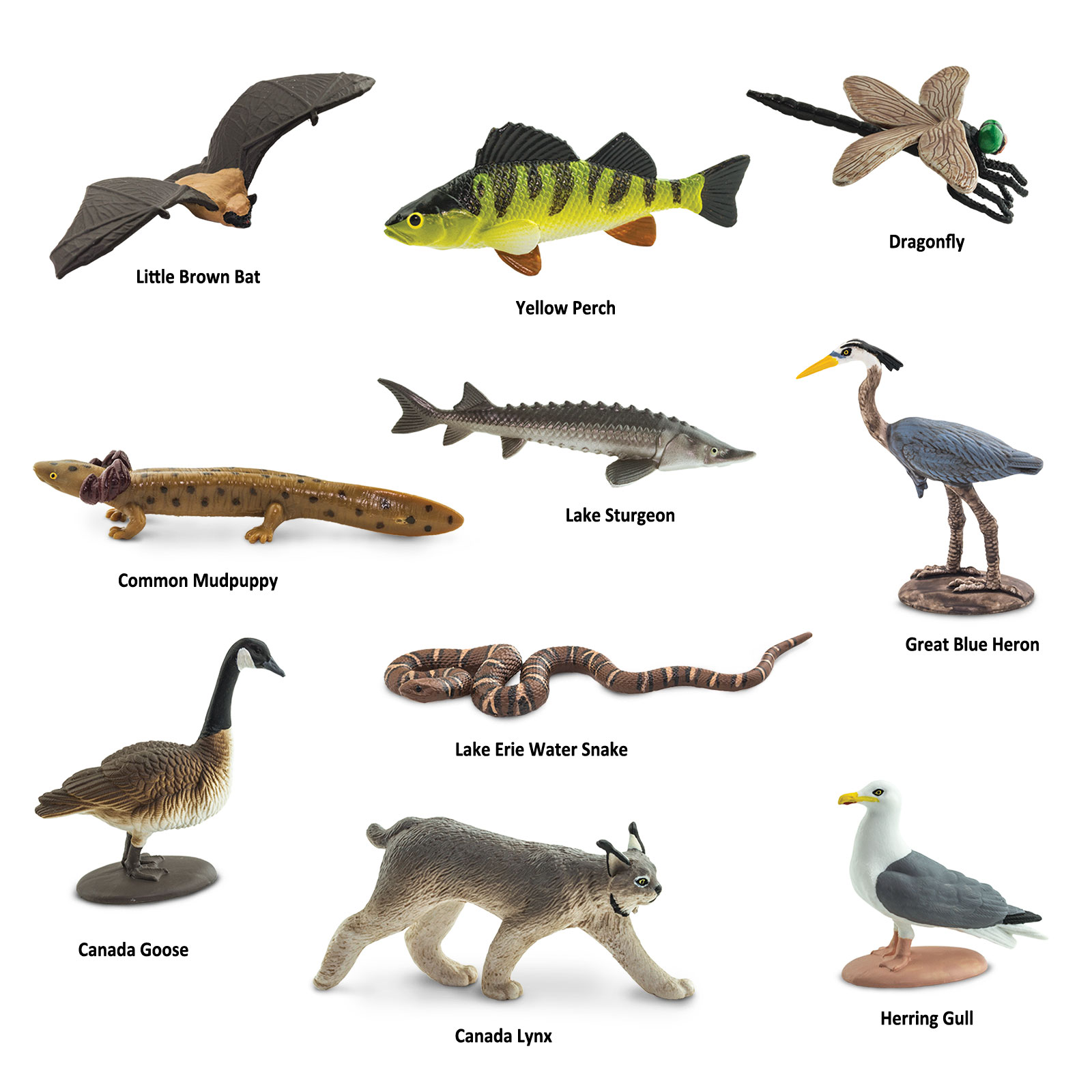 Figuras De Animales De Grandes Lagos TOOB Safari Ltd Figuras Educativas Para Niños