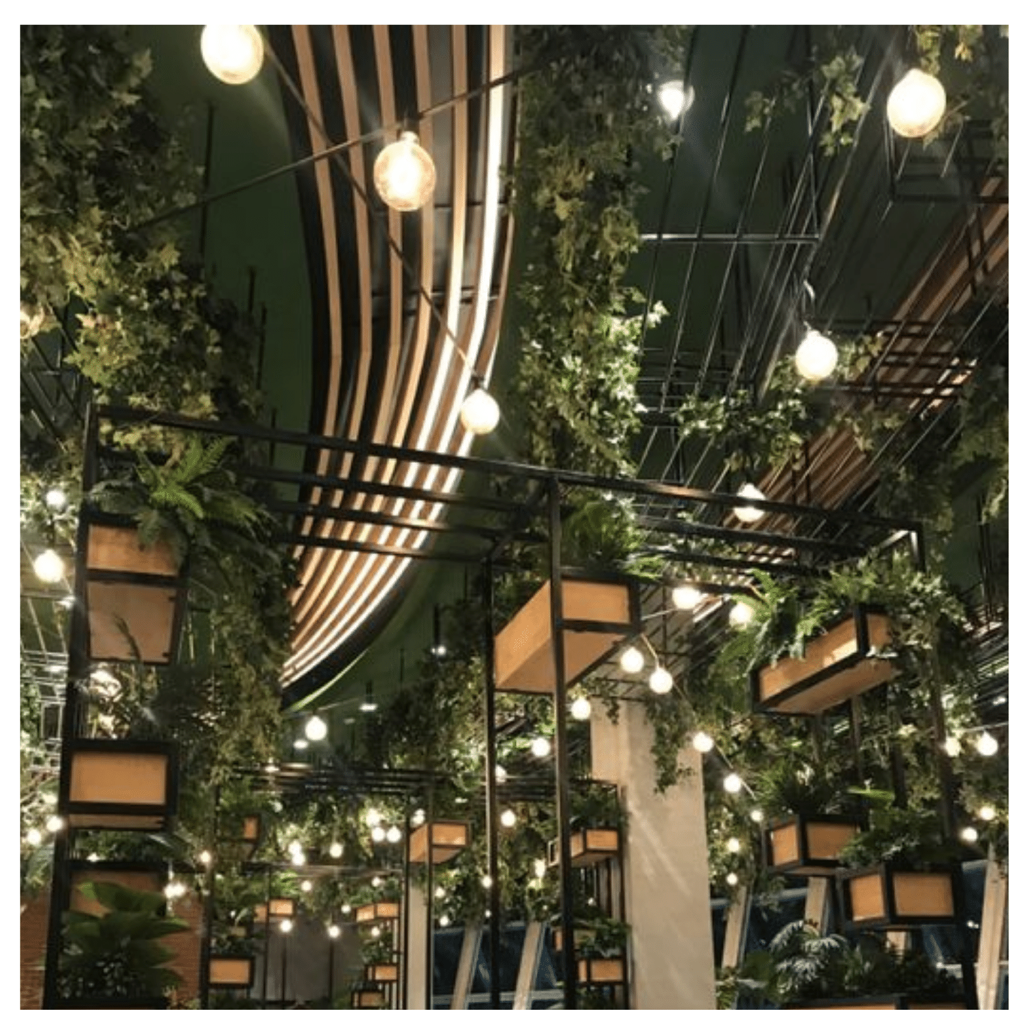 6 Series de Luces Led Focos Vintage 15 Metros