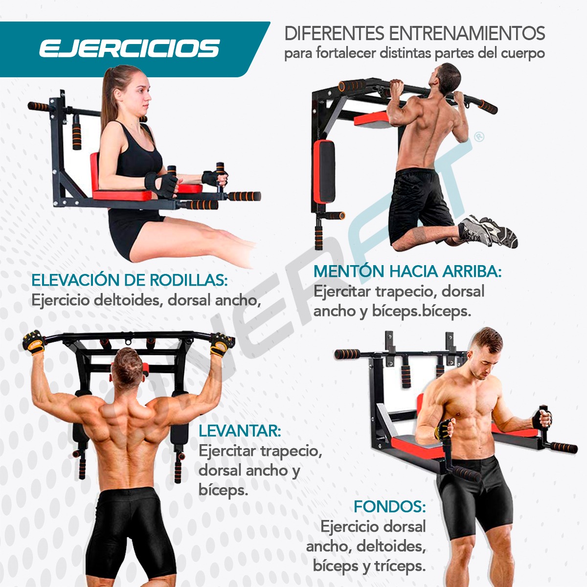 Barra Para Dominadas Multifuncional + Ligas de Resistencia