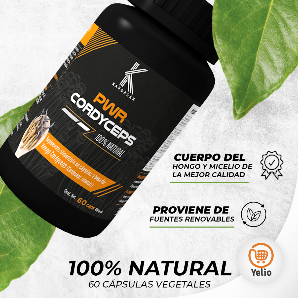 POWER Cordyceps Hongo Cordyceps KARDAGAR 60 Capsulas 470mg CU	