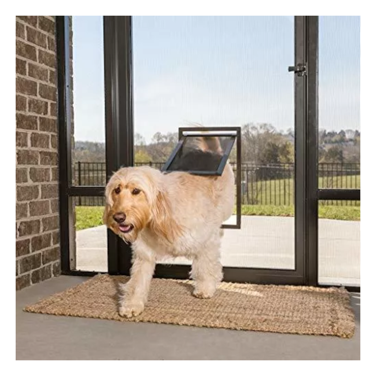 Puerta Grande Abatible para Mascota Perro Gato Empotrable en Puerta de Malla Mosquitero 